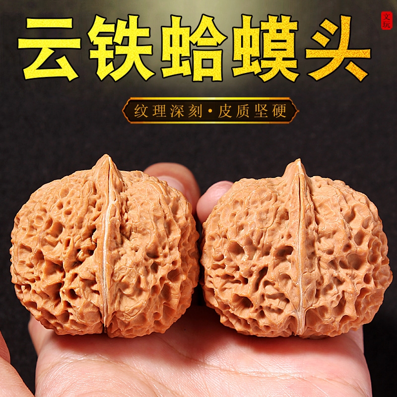 文玩核桃天然金蝉舍利子云南