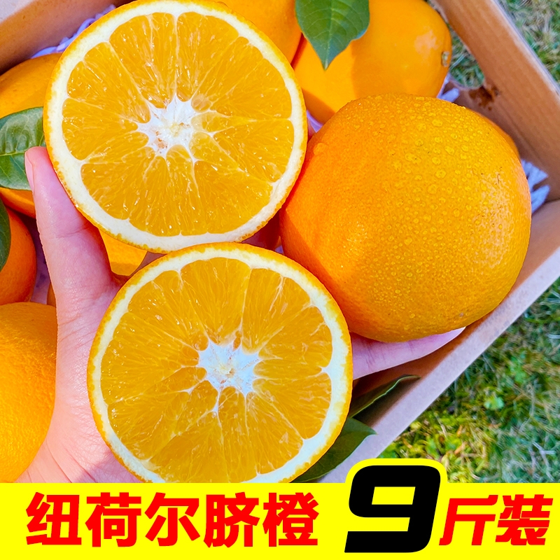 一级正宗脐橙9斤包邮湖南纽荷尔当季新鲜现摘水果橙子整箱手剥橙