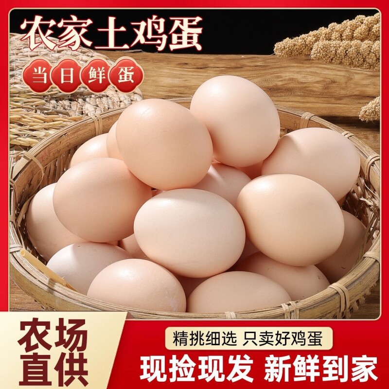 50g正宗散养鸡蛋农场直发鲜鸡蛋土鸡蛋虫草蛋柴鸡蛋月子蛋