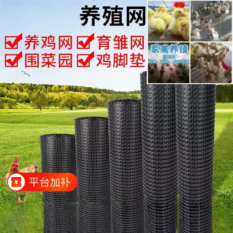 塑料网格防护网养殖菜园鱼塘拦鸡网子户外圈玉米网养鸡围栏网家用