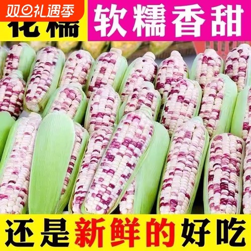 新鲜花糯玉米美味当季整箱花甜糯玉米苞谷嫩玉米棒子蔬菜力荐好吃