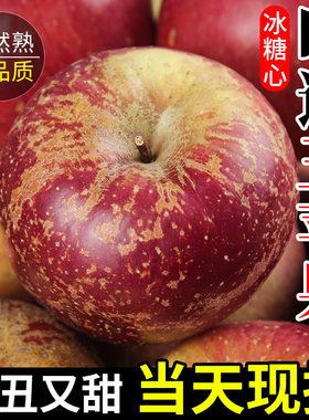 云南昭通丑苹果9斤红富士水果