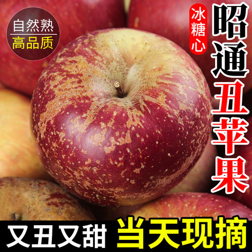 云南昭通丑苹果9斤红富士水果