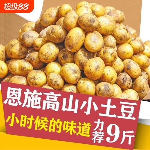正宗恩施小土豆现挖精品黄心黄皮当季蔬菜特产洋芋迷你马铃薯