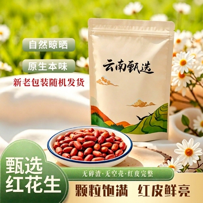 红花生米新货新鲜红皮不带壳四粒红花生独立袋装生的原味食用食材