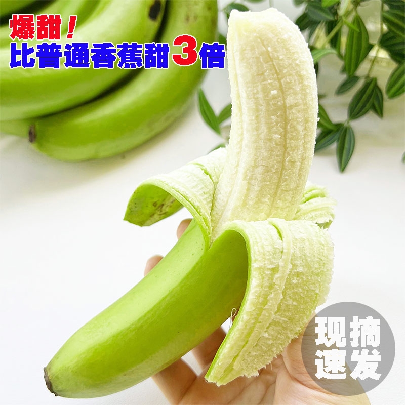 [好甜]正宗高山甜香蕉青皮香蕉新鲜当季孕妇水果绿皮大芭蕉自然熟