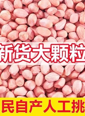 白沙花生米2025年河南小白沙农家新花生干花生新鲜新货花生仁大粒