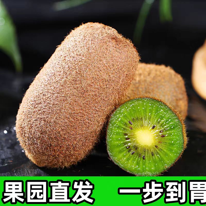 贵州修文贵长猕猴桃新鲜水果应季整箱大弥猴桃礼盒绿心奇异果