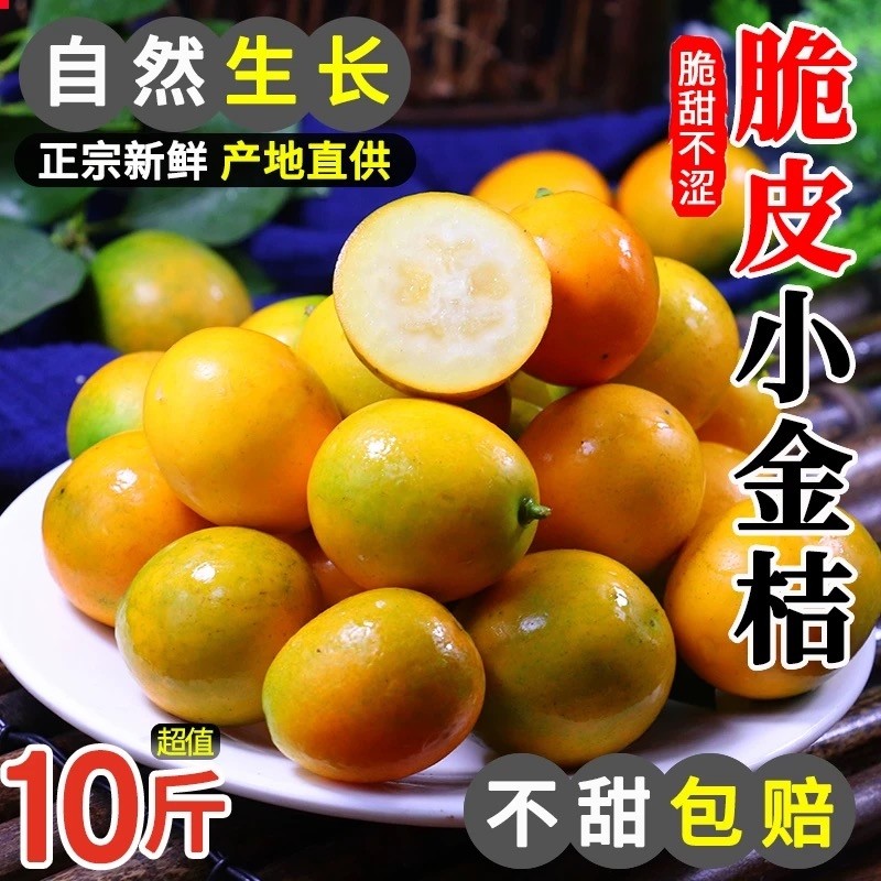 广西融安脆皮小金桔5斤新鲜桔子当季水果蜜金柑桔纯甜整箱包邮