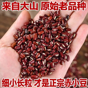 正宗长粒赤小豆新货小豆五谷杂粮农家豆亦小赤豆红豆老品种
