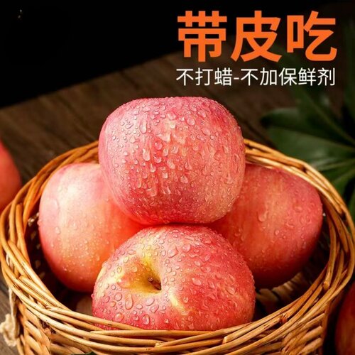 山东烟台红富士苹果时令鲜果当季整箱不打蜡好果产地批发新鲜脆甜