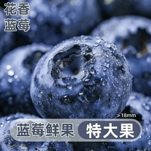 正宗丹东花香蓝莓现摘整箱当季精品水果脆甜整颗L25甜盒装包邮