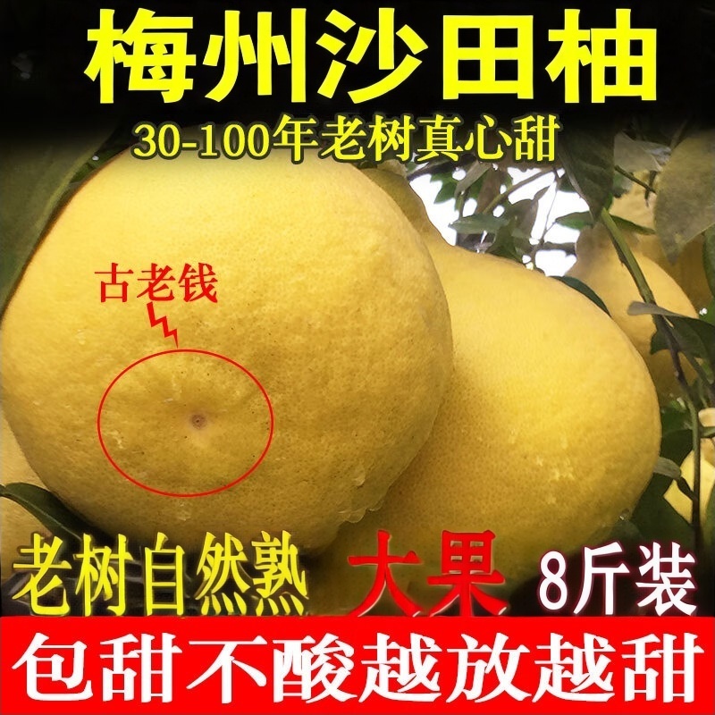 正宗广东梅州沙田柚子纯甜大果梅县金柚当季新鲜水果现摘产地直发