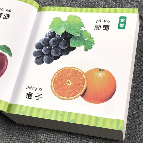 认物大全认识动物水果蔬菜汽车颜色看图识物儿童早教启蒙绘本0-1-2-3岁宝宝婴幼儿益智图书识字卡片三岁画册认知书籍训练衔接教材