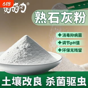 熟石灰粉氢氧化钙消石灰消毒杀菌改善水质土壤改良杀菌驱虫石灰粉