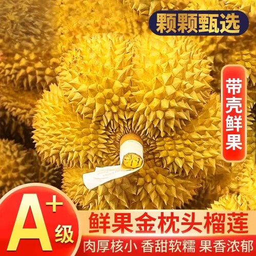 金枕榴莲泰国进口当季A+榴莲带壳一整个香甜新鲜水果榴莲软糯包邮