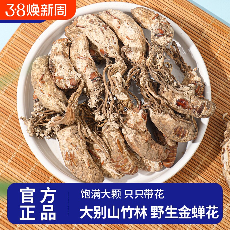 正品金蝉花中草药材野生精选蝉花虫金蚕花知了花2024年官方旗舰店