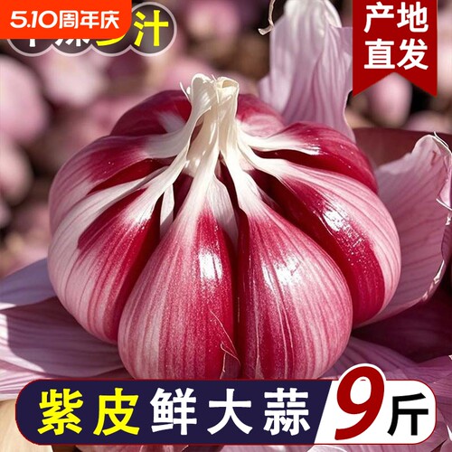 2026新紫皮大蒜新鲜大蒜头现挖湿蒜泡蒜腌蒜糖醋蒜腊八蒜红皮鲜蒜
