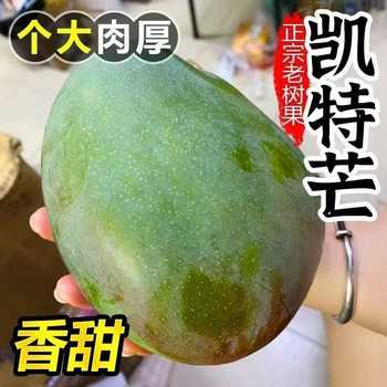 四川攀枝花凯特芒果新鲜水果芒果特大青忙果当季实付7.6元到手包邮 四川攀枝花凯特芒果新鲜水果芒果特大青忙果当季实付7.6元到手包邮