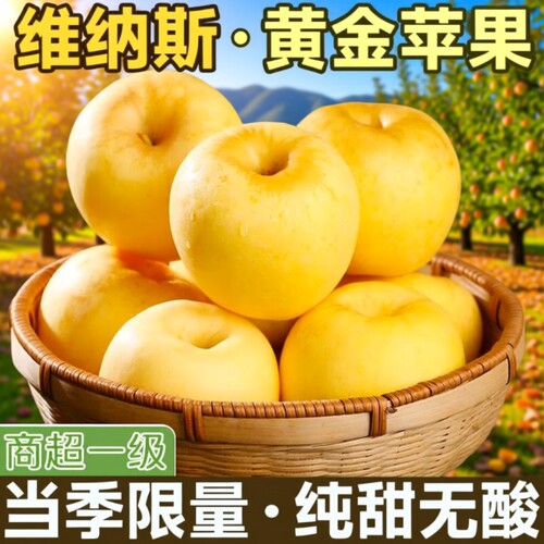 正宗山东维纳斯黄金苹果脆甜非黄元帅奶油富士丑新鲜当季苹果整箱