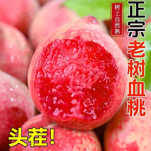 正宗新鲜血桃老树桃子5斤脆甜红肉当季现摘红心农家毛桃离核稀有