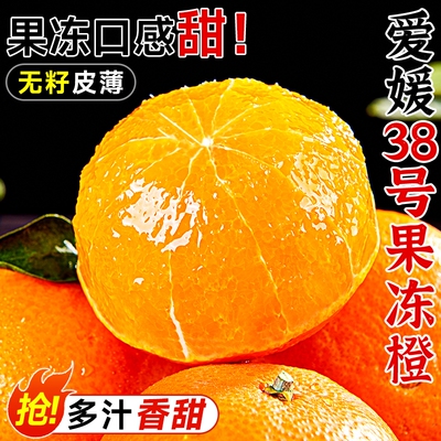 爱媛果冻橙皮薄爆汁细嫩化渣鲜果