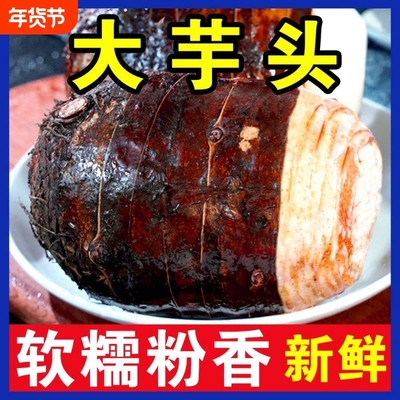 【优选】云南高山大芋头正宗现挖粉香芋非槟榔芋艿紫藤毛芋新鲜糯