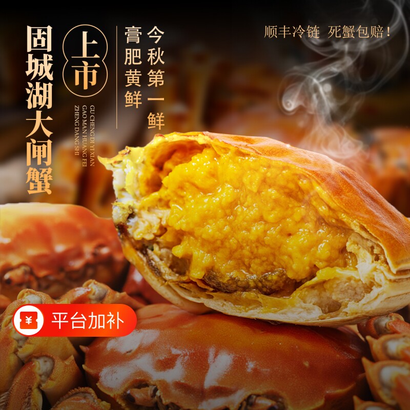 正宗固城湖螃蟹大闸蟹鲜活2.3-2.7两母蟹海鲜水产活蟹顺丰