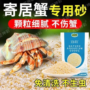 寄居蟹专用沙水草螃蟹底沙石天然垫材原生贝壳沙免洗鱼缸造景沙子