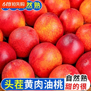 湖北襄阳  正宗油桃现摘应当季新鲜水果桃子脆甜红黄皮整箱头茬
