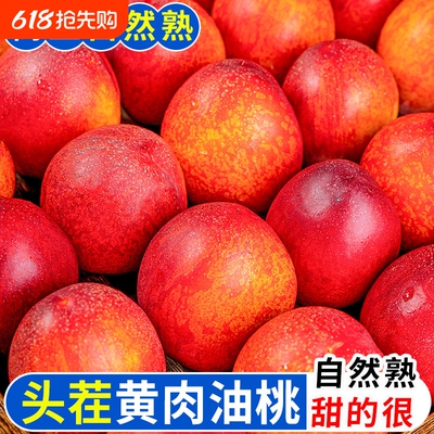 湖北襄阳  正宗油桃现摘应当季新鲜水果桃子脆甜红黄皮整箱头茬