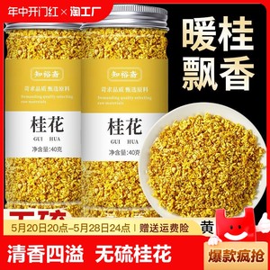 桂花茶桂花干正宗特级桂花泡茶金桂花干桂花干桂花茶可食用新鲜