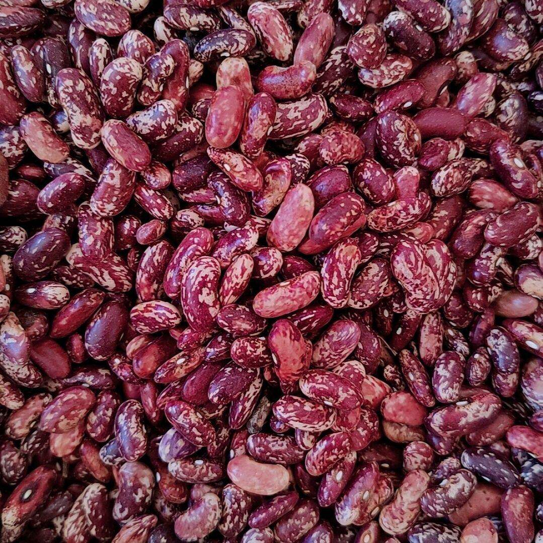 贵州芸豆新货农家紫花红花芸豆豆包豆馅大碴子粥新鲜花豆