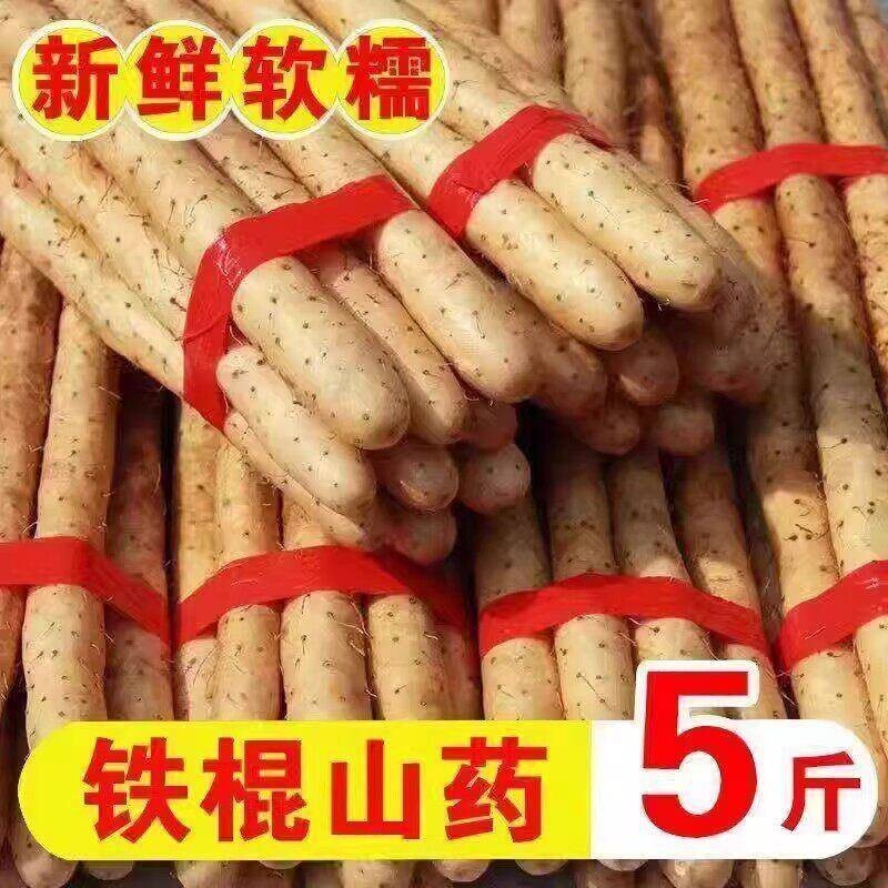 铁棍山药铁杆河南焦作温县垆土淮山怀山药新鲜5斤特产整箱准整箱