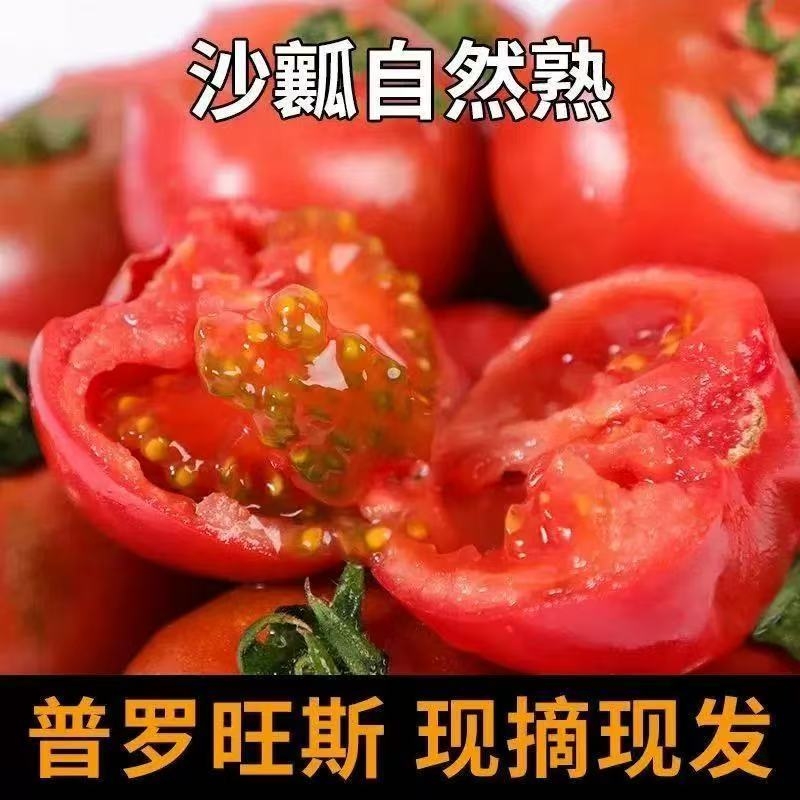 普罗旺斯西红柿新鲜蔬菜水果自然熟生吃沙瓤大番茄柿子