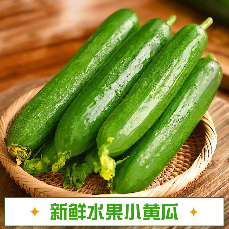 山东水果小黄瓜生吃脆嫩当季新鲜青瓜5斤包邮自提生鲜现摘凉拌