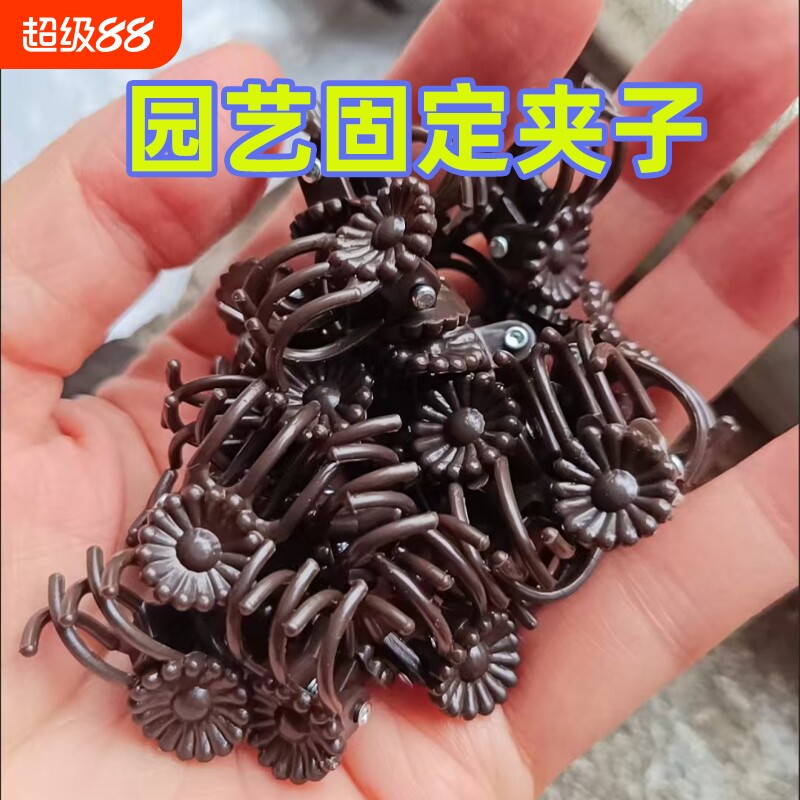 爬藤植物专用固定夹蝴蝶兰花夹子花卉夹造型支架夹藤蔓花园艺支撑