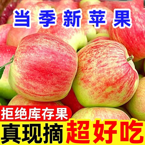 正宗嘎啦苹果新鲜水果当季现摘整箱红富士甜脆冰糖心早熟丑苹果