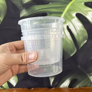 控根盆塑料半水培蝴蝶兰花盆专用套盆透明观根盆懒人透气镂空石斛