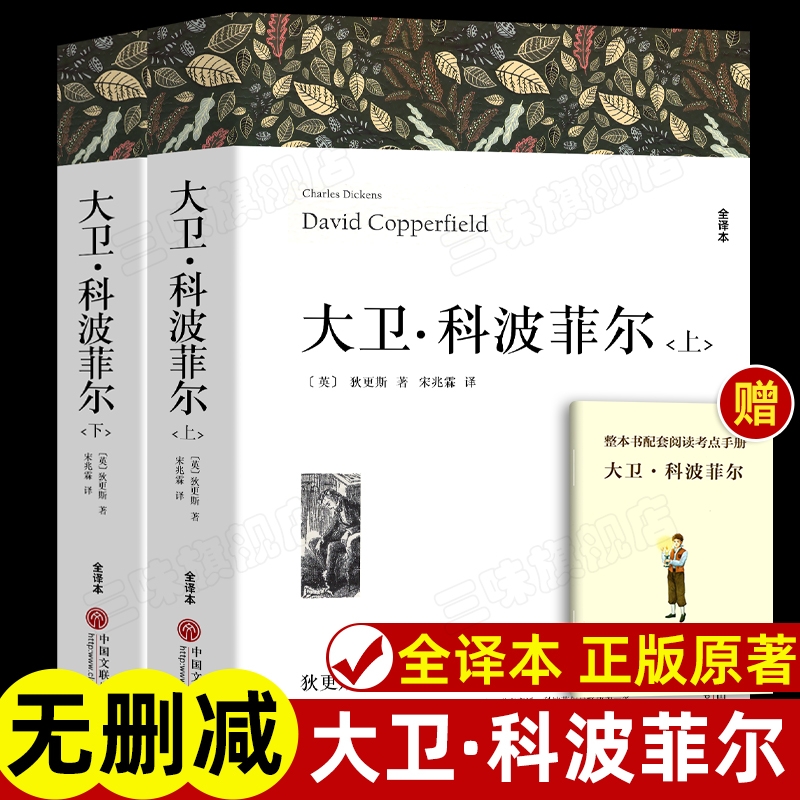 大卫科波菲尔原著正版完整版