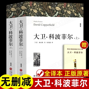 全2册大卫科波菲尔正版原著无删减完整版宋兆霖翻译高中阅读课外书籍全套高中生高一语文课外书世界名著书目初中复活文学读书
