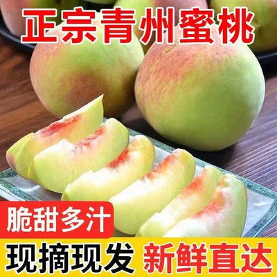 正宗山东青州蜜桃冬雪桃水蜜桃脆桃当季水果新鲜桃子整箱包邮脆甜
