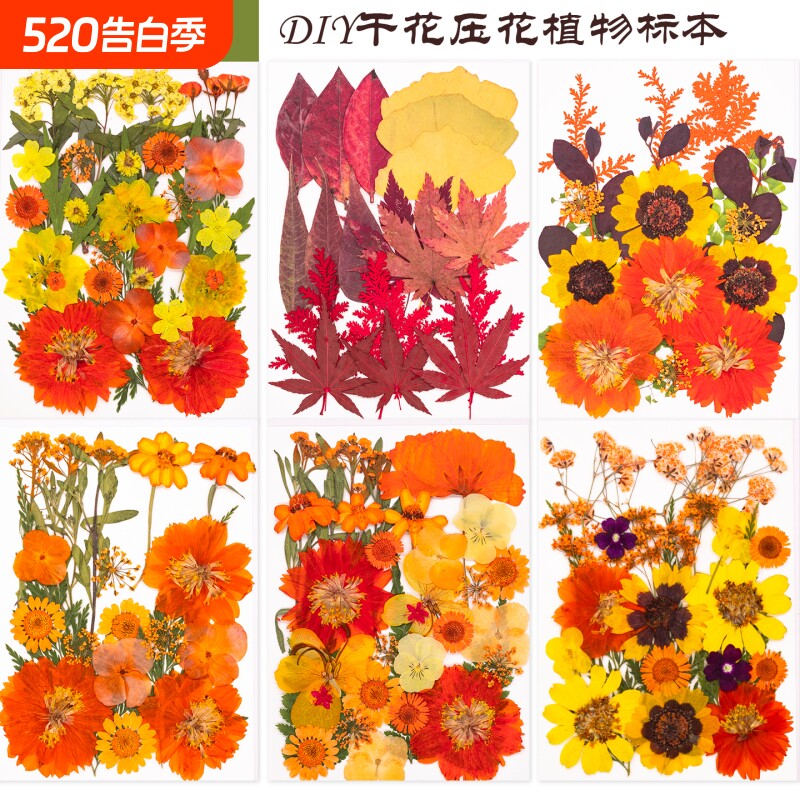 干花diy押花材料包真花压花手作植物标本装饰儿童手工制作材料包