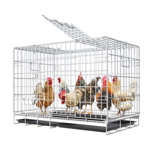 鸡笼子家用室外大号养鸡笼农村鸡舍鸡窝鸡房子鸡舍棚铁丝网鸭子笼