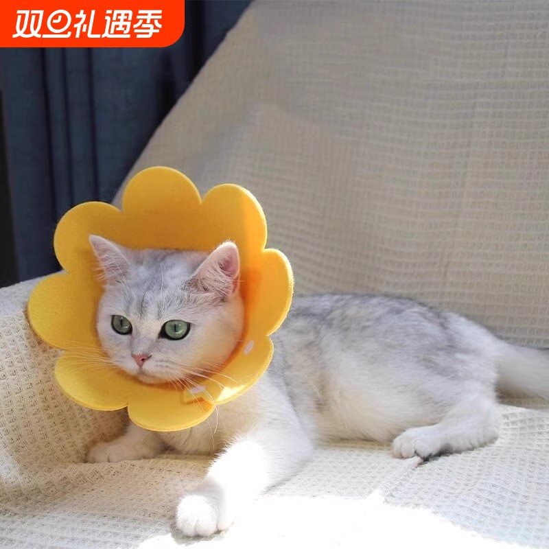 伊丽莎白圈猫咪绝育项圈防舔围脖圈颈圈柔软头套狗狗宠物用品吃饭