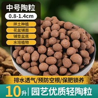 Выбранная высококачественная керамика среда 10L