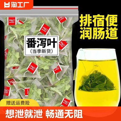 特级番泻叶茶包天然清泻叶茶宿便油番茄番泻叶茶便秘果茶番泄叶