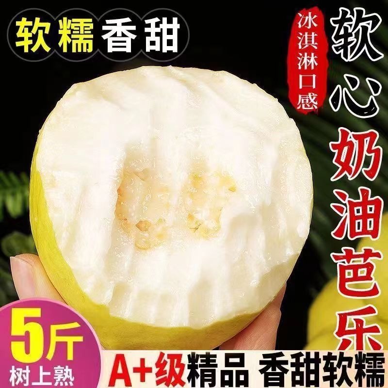 广东软糯软心奶油芭乐水果软白番石榴应当季新鲜白心老树芭乐