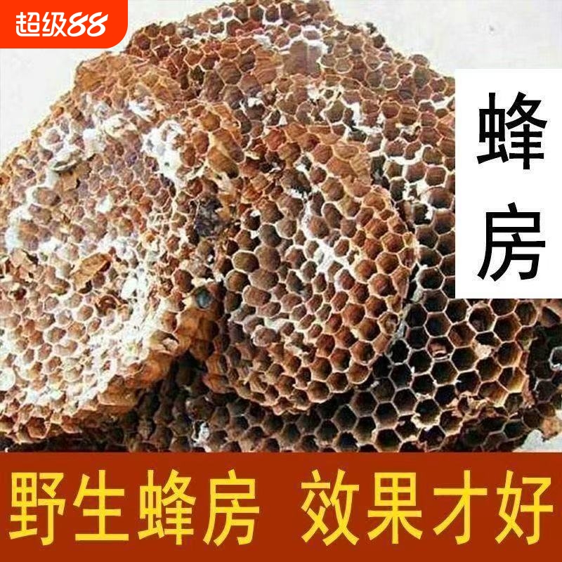 天然纯野生正品野蜂窝马蜂窝露蜂房黄蜂窝山蜂房老蜂巢中药材