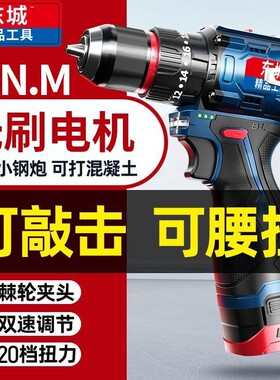 东城款无刷16.8v双速锂电钻